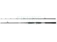 Wędka Abu Garcia Beast Pike Jerkbait Casting 1.98m 40-90g