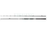 Wędka Abu Garcia Beast Pike Casting 2.13m 20-70g