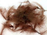 CDC Loose Grade Dyed 1g - Brown