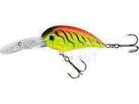 Jaxon Woblery Holo Select Bumer