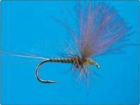 CDC Green Quill nr 18