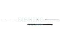 Wędka Penn Battalion III Jigging Casting 1.83m Max 250g