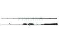 Wędka Penn Prevail III Jigging Cast 1.83m max 250g