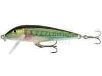 Wobler Rapala CountDown 5cm - Minnow