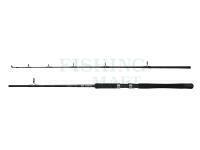 DAM Iconic2 SW Boat Spinning Rod 1.80m 100-250g