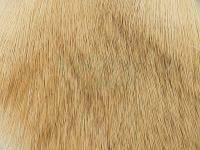 Wapsi Deer Body Hair - 026 Bleached