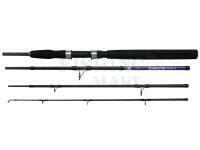 Wędka Dega Nordic Seamaster Power Travel 2.10m 80-200g