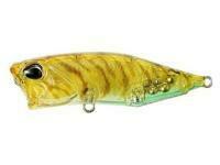 Przynęta DUO Realis Popper 64 SW Limited 64mm 9g - CCC0343 Prawn