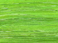 Future Fly Salmo Flash - Chartreuse