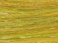 Future Fly Salmo Flash - Golden Olive