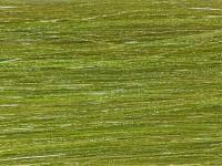 Future Fly Salmo Flash - Olive