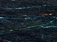 FutureFly Polar Flash - Black