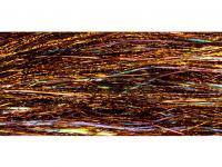 FutureFly Predator StarFlash - Brown