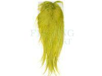 Hareline Dubbin Flat Wing Saddles - #263 UV2 Pastel Olive