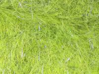 Hareline Dubbin Senyo's Laser Dub - #263 Olive