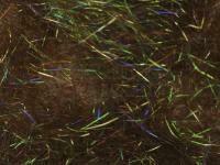 Hemingway`s Peacock Dubbing - 09 UV Bronze