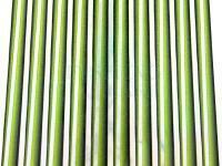 Hemingways Synthetic Tapered Peacock Quill - Holo Green