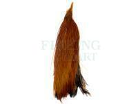 Połówka kapki szyjnej koguta Metz Cock Half Neck #2 - 1/2 Brown