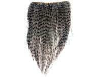 Pióra Ewing Middle Dyed Over Grizzly - Medium Dun