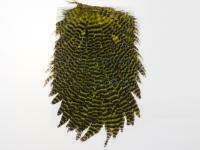 Kapki Hareline Dubbin Hen Saddle - 179 Grizzly Dyed Olive