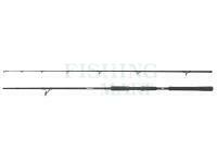 Wędka Abu Garcia Beast Pike Spinning 2.59m 40-140g