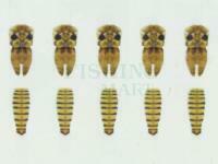Hemingway's Mayfly Wings Buds and Back - Large | Yellow