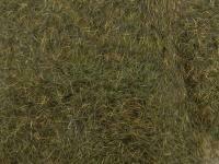 Dubbing Wapsi Natural Fur - Fox Squirrel