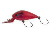 Nories Meet 33DR-F - (321) Morning Dawn