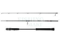 Wędka Penn Overseas XT II Light Jigging 1.83m max 120g