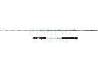 Wędka Penn Prevail III Light Jigging Cast 2.04m max 120g