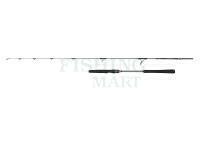 Wędka Penn Regiment IV Light Jig Spinning 1.88m max 120g