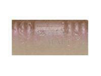 Przynęta Tiemco PDL Locoism Flexy Shad 3.5 cale | Shrimp Flavor - 226