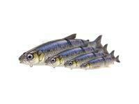 Savage Gear Przynęty 3D Line Thru Whitefish