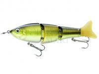 Jenzi Woblery Corrigator Tiger-Lure
