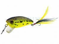 Viva Woblery Mazzy Popper