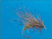 Scallywag Murrough nr 10