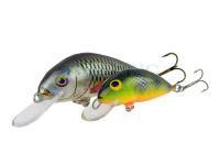 Dorado Woblery Scout