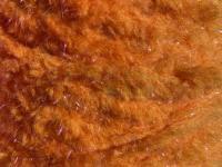 Semperfli EggStatic Egg Fritz 8mm - Tangerine