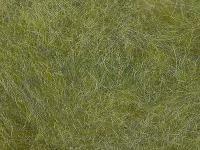 Dubbing Wapsi Sow-Scud 289 - Smokey Olive