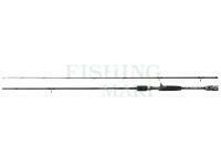 Wędka Jaxon Wild Horse Casting 2.40m 10-35g