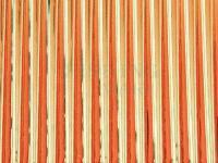 Hemingway's Tapered Buzzer Quills - Red Gold