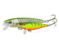 Dorado Woblery Tender