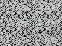 Wapsi Thin Skin Fly Specks - 000 Clear Black