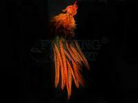 UV2 Coq De Leon Perdigon Fire Tail Feathers - #137 Fl Orange