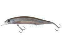 Wobler DUO Realis Jerkbait 120SP - CCC3816 Wakasagi ND