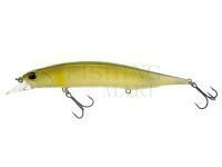 Wobler DUO Realis Jerkbait 120SP - DST3070 Dead Ayu
