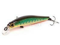 Jackson Artist FR55 | 55mm 4g Sinking - KY