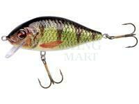 Wobler Jaxon Holo Select Karaś Nature 3D 8cm 14g - OH