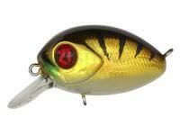 Wobler Pontoon21 Baby Red Rag 32F SR | 32mm 4.8g - 307 Crash HG Gold Perch