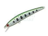 Smith Woblery Panish Area 55R